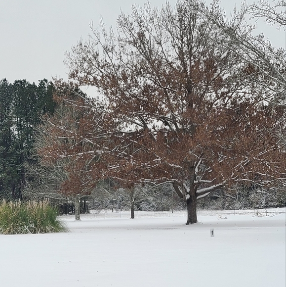 @BECCARM64 live listing Saturdays @5:30 am CST - Picture 15 of 16